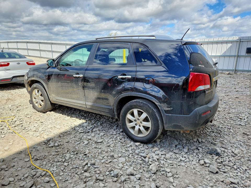 Продаж на аукціоні авто 2011 Kia Sorento, vin: 5XYKTCA10BG036339, номер лоту: 52385536