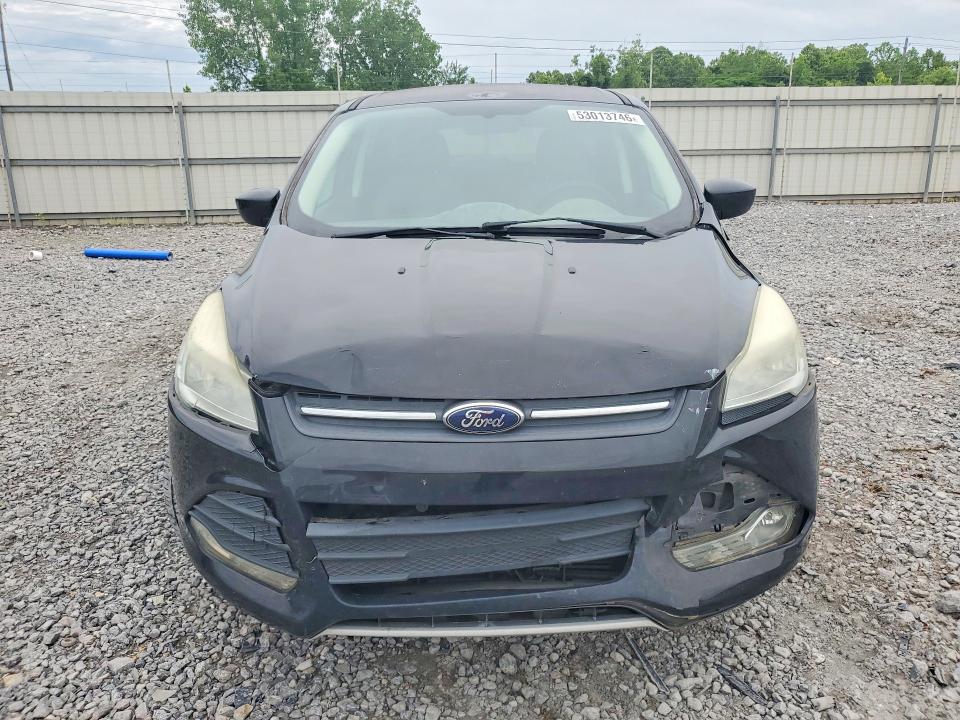 53013746 :رقم المزاد ، 1FMCU0GX3EUD50125 vin ، 2014 Ford Escape مزاد بيع