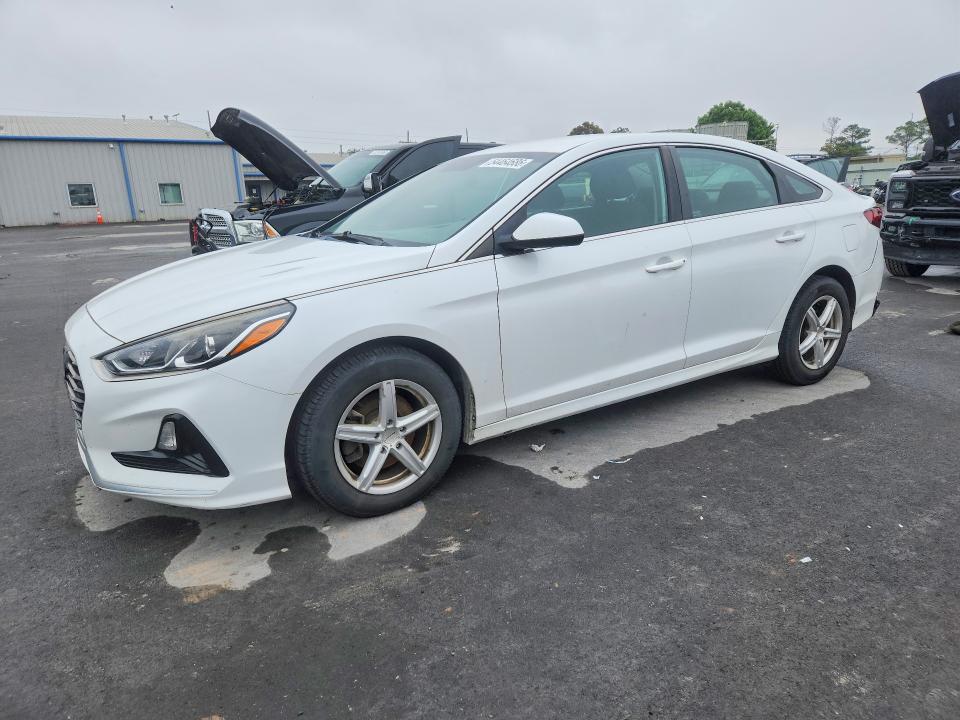 Продажа на аукционе авто 2019 Hyundai Sonata, vin: 5NPE24AF6KH746923, номер лота: 54464686