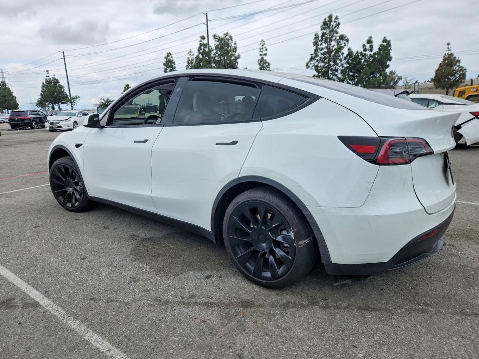 Продаж на аукціоні авто 2024 Tesla Model Y, vin: 7SAYGDEE6RF089603, номер лоту: 54885096