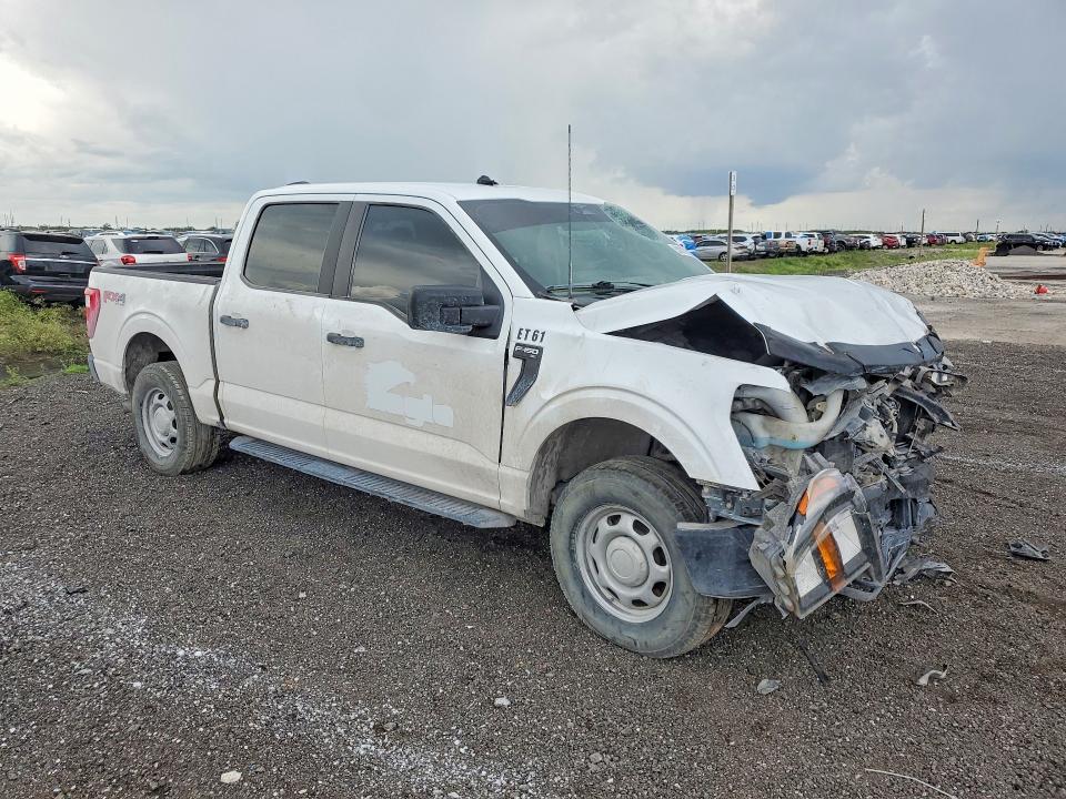 2023 Ford F150 მანქანა იყიდება აუქციონზე, vin: 1FTEW1EP7PFC21456, აუქციონის ნომერი: 53101716