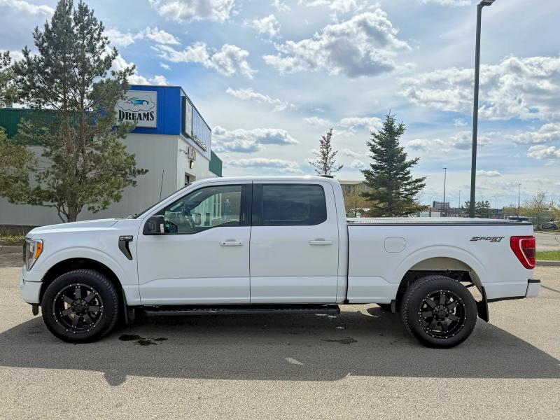 2021 Ford F150 მანქანა იყიდება აუქციონზე, vin: 1FTFW1E89MKE28494, აუქციონის ნომერი: 53096766