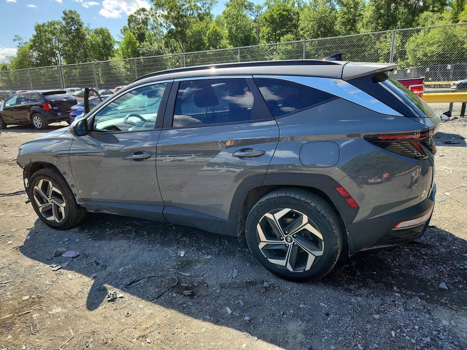 Продажа на аукционе авто 2024 Hyundai Tucson, vin: 5NMJFCDEXRH309224, номер лота: 55343626
