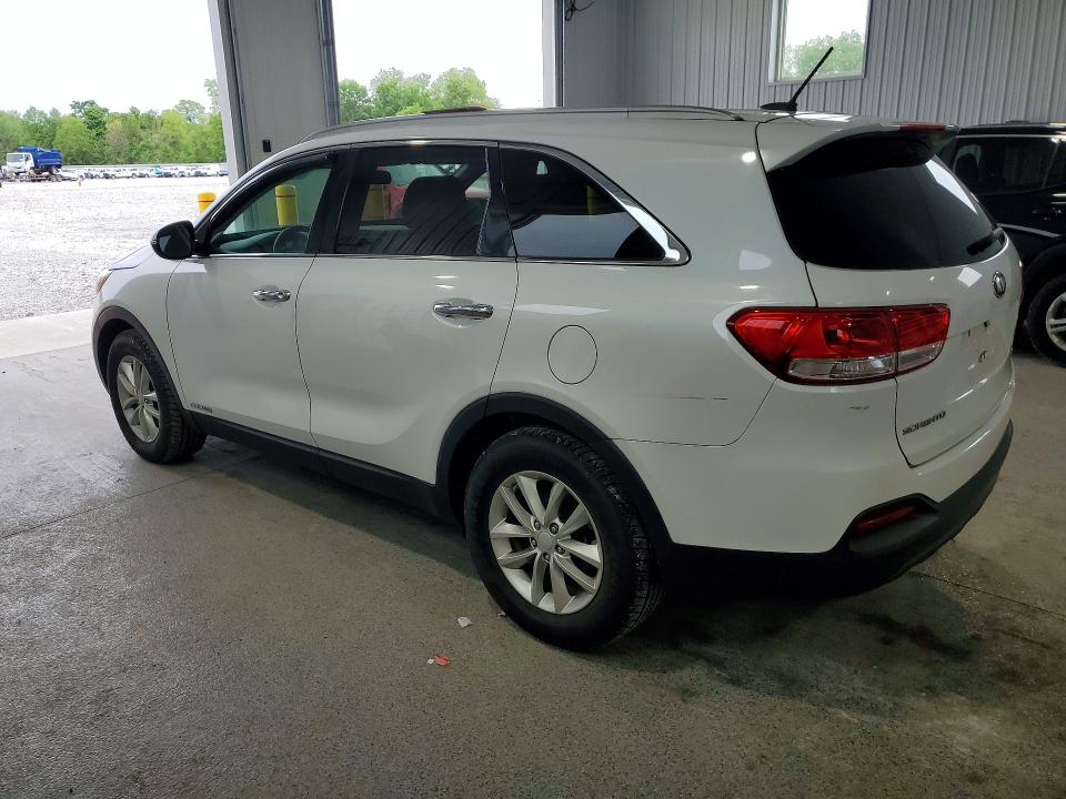 54860596 :رقم المزاد ، 5XYPGDA58HG216227 vin ، 2017 Kia Sorento مزاد بيع