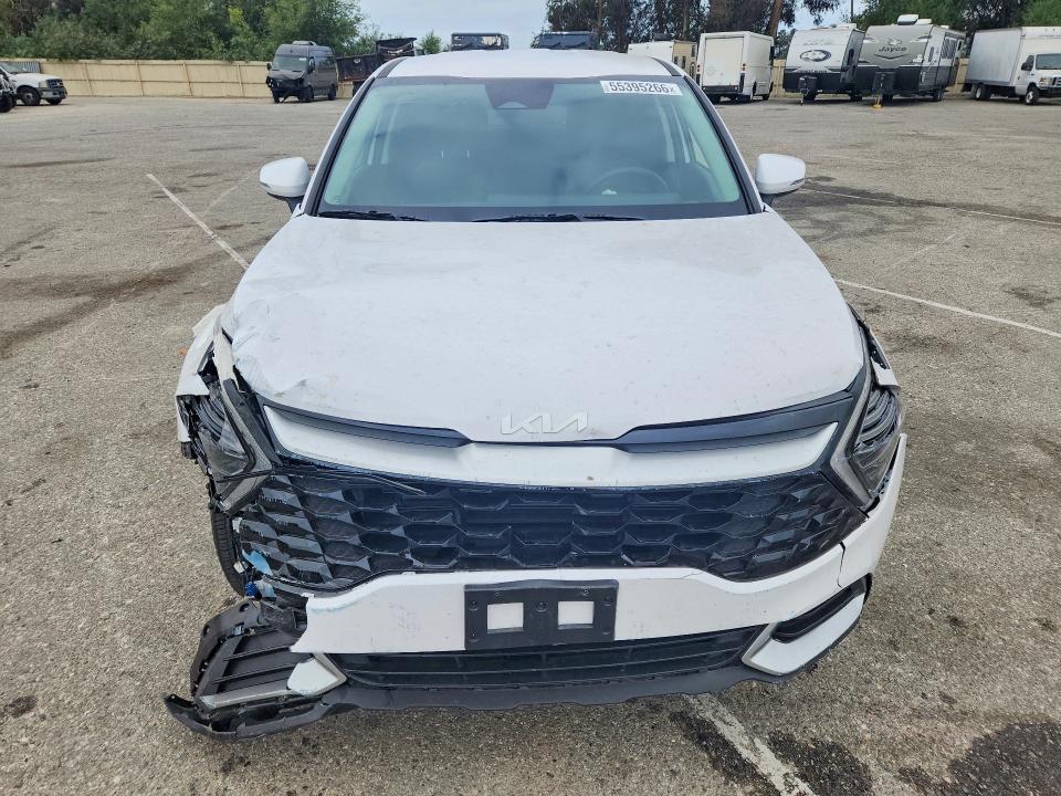 Продаж на аукціоні авто 2024 Kia Sportage, vin: 5XYK33DF9RG216694, номер лоту: 55395266