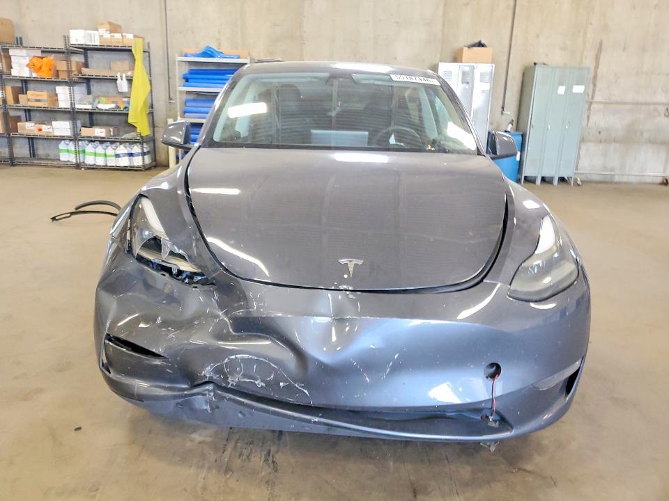 Продаж на аукціоні авто 2023 Tesla Model Y, vin: 7SAYGDEF2PF600553, номер лоту: 55187446