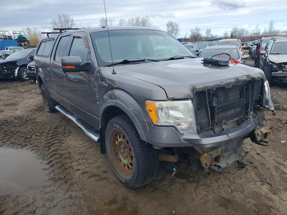 2010 Ford F150 მანქანა იყიდება აუქციონზე, vin: 1FTFW1EV6AFD82536, აუქციონის ნომერი: 53351106