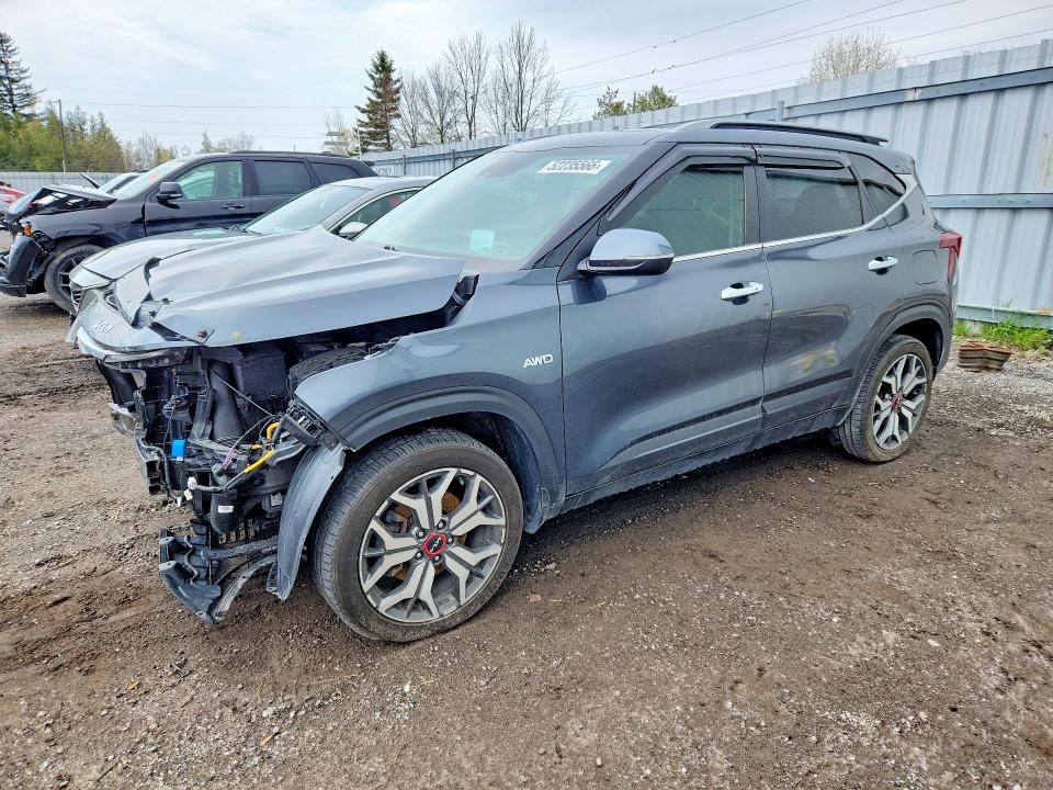 Auction sale of the 2022 Kia Seltos, vin: KNDETCA27N7317934, lot number: 52235566