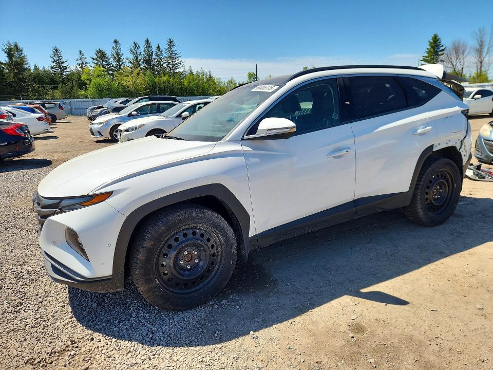 2022 Hyundai Tucson მანქანა იყიდება აუქციონზე, vin: KM8JCCA18NU024918, აუქციონის ნომერი: 53405116