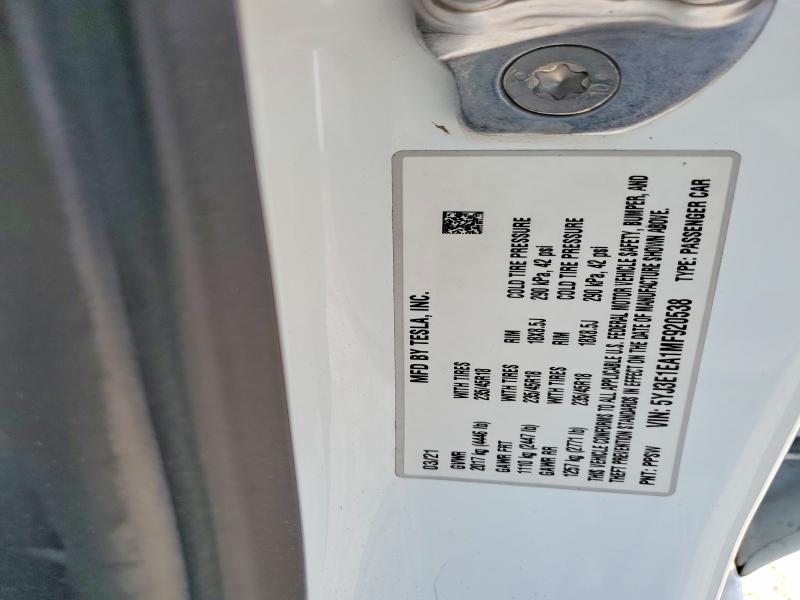 2021 Tesla Model 3 მანქანა იყიდება აუქციონზე, vin: 5YJ3E1EA1MF920538, აუქციონის ნომერი: 54841756