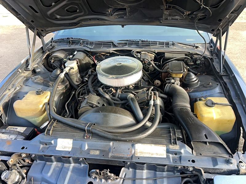Продажа на аукционе авто 1983 Pontiac Firebird, vin: 1G2AW87H9DL203250, номер лота: 54011976