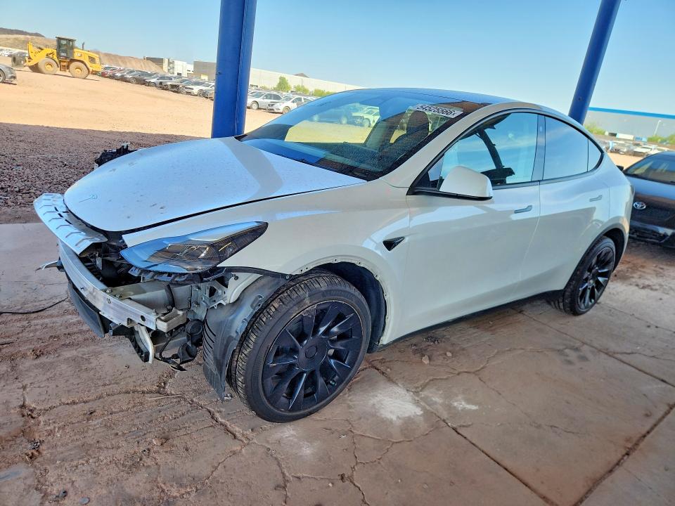 Aukcja sprzedaży 2023 Tesla Model Y, vin: 7SAYGDEE3PF675916, numer aukcji: 54525566