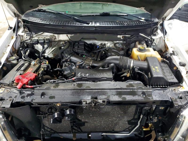 53132276 :رقم المزاد ، 1FTMF1EM1DFA39846 vin ، 2013 Ford F150 مزاد بيع