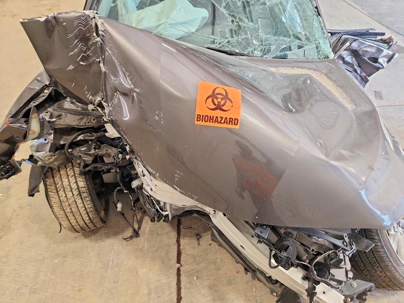2024 Toyota Camry მანქანა იყიდება აუქციონზე, vin: 4T1C11AK0RU847568, აუქციონის ნომერი: 53170396