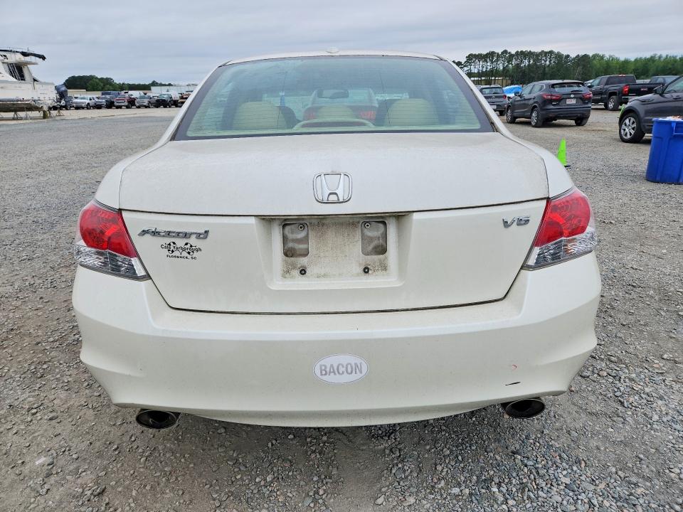 Продаж на аукціоні авто 2010 Honda Accord, vin: 5KBCP3F83AB012669, номер лоту: 48547196