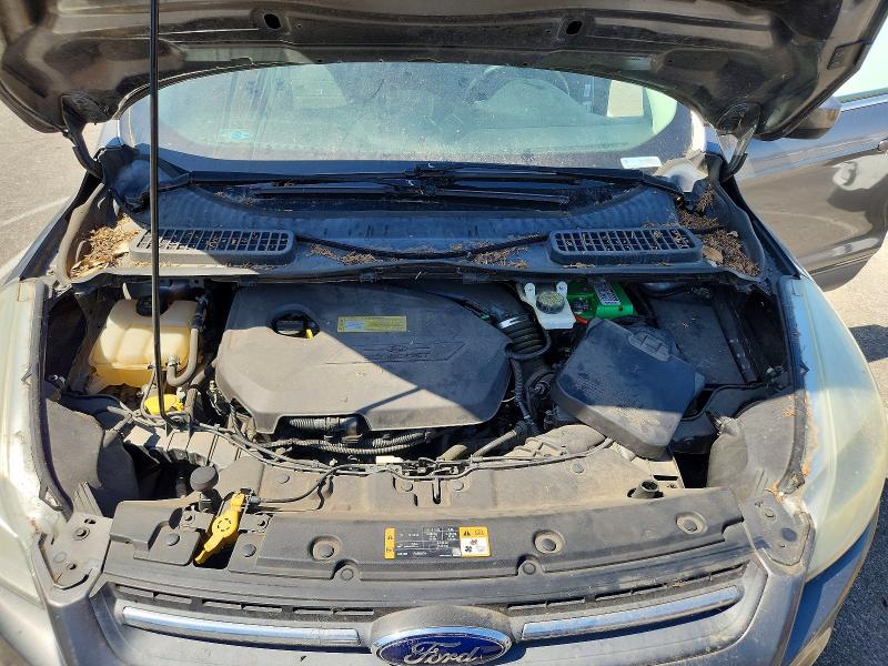 54706936 :رقم المزاد ، 1FMCU0GX2EUD03118 vin ، 2014 Ford Escape مزاد بيع