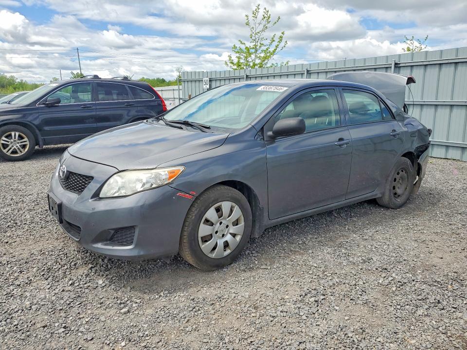 55367846 :رقم المزاد ، 2T1BU4EE5AC361238 vin ، 2010 Toyota Corolla مزاد بيع
