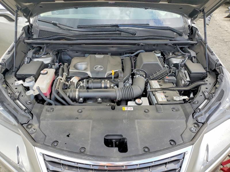 2021 Lexus Nx 300 მანქანა იყიდება აუქციონზე, vin: JTJDARDZ1M2253699, აუქციონის ნომერი: 52465696