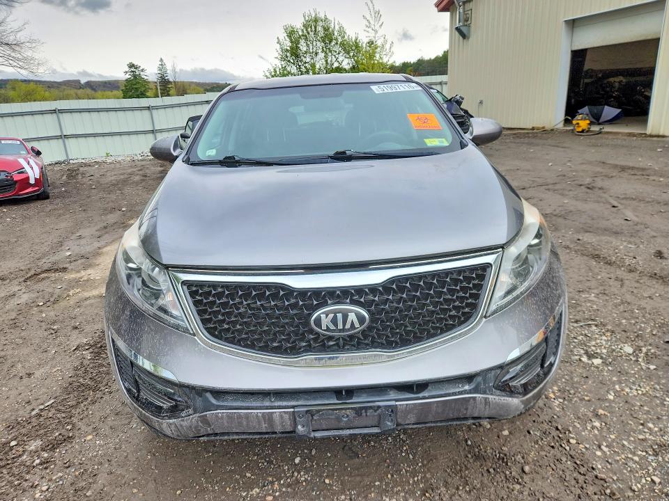 Продажа на аукционе авто 2016 Kia Sportage, vin: KNDPBCAC4G7866031, номер лота: 51997116