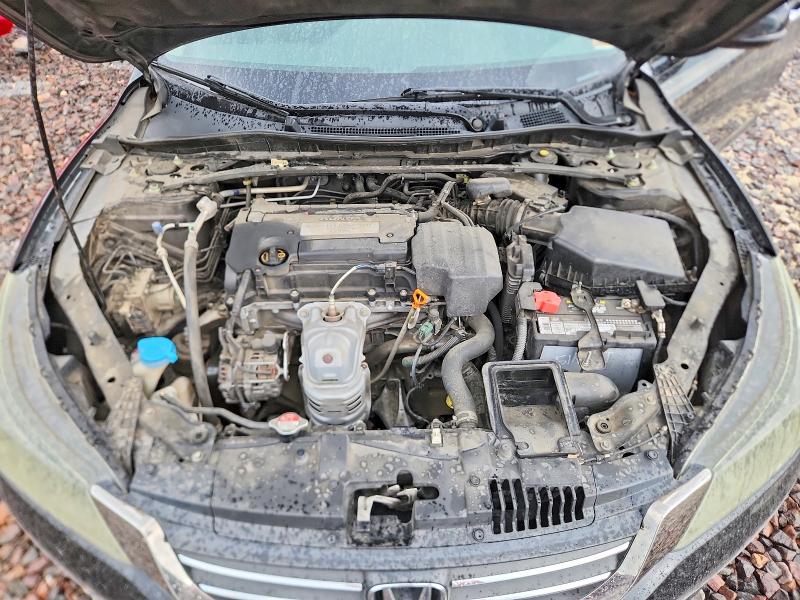 53051646 :رقم المزاد ، 1HGCR2F86DA117997 vin ، 2013 Honda Accord مزاد بيع