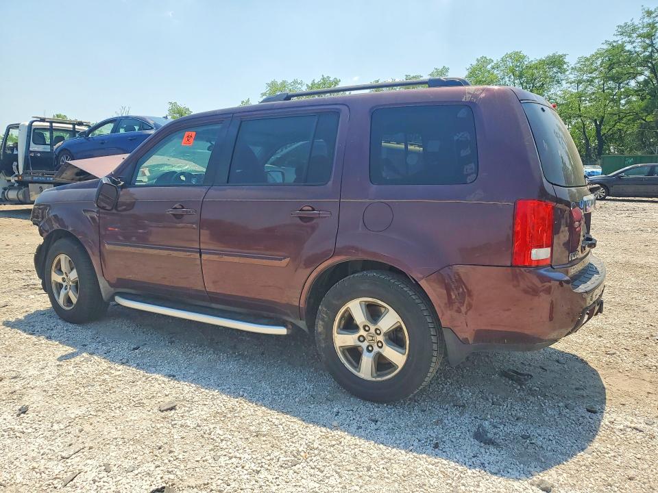 Продаж на аукціоні авто 2010 Honda Pilot, vin: 5FNYF4H45AB015189, номер лоту: 53956696