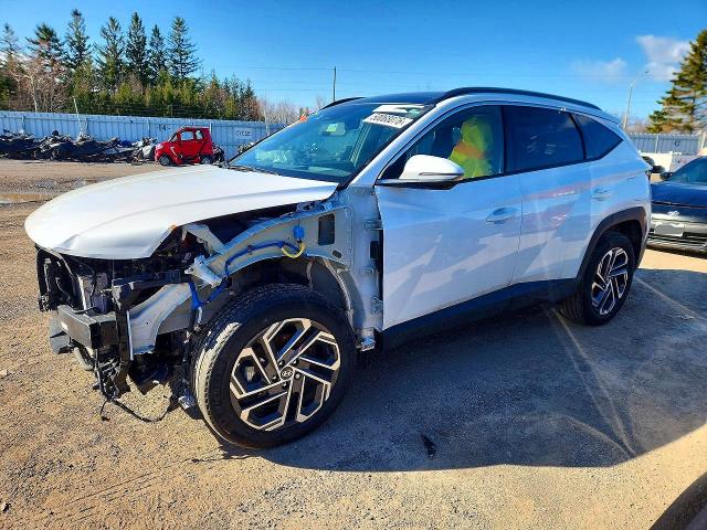 Продажа на аукционе авто 2025 Hyundai Tucson Hybrid, vin: KM8JCDD12SU254614, номер лота: 50068076