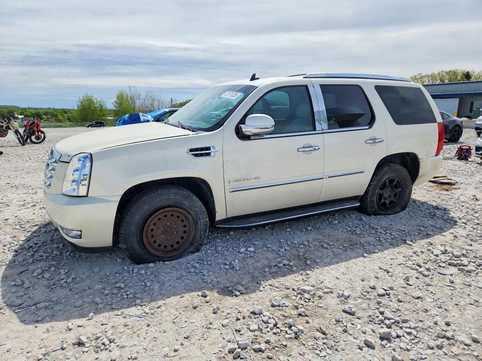 Auction sale of the 2009 Cadillac Escalade, vin: 1GYFK53299R119540, lot number: 52191326