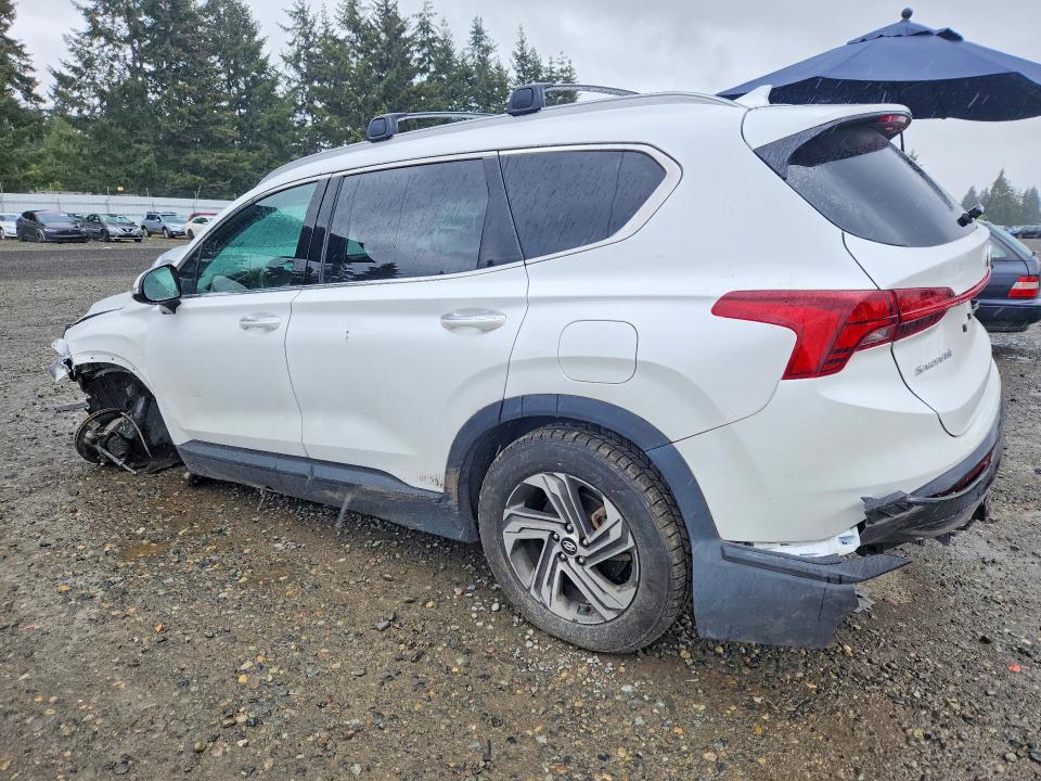 Aukcja sprzedaży 2023 Hyundai Santa Fe, vin: 5NMS2DAJ6PH486521, numer aukcji: 53556256