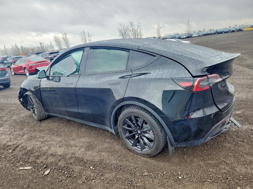 2023 Tesla Model Y მანქანა იყიდება აუქციონზე, vin: LRWYGDFD4PC939125, აუქციონის ნომერი: 51975776