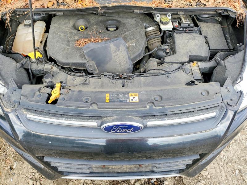 52082816 :رقم المزاد ، 1FMCU0G93DUC67939 vin ، 2013 Ford Escape مزاد بيع