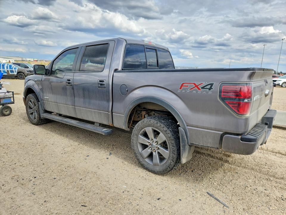 53731626 :رقم المزاد ، 1FTFW1ET0EKE41883 vin ، 2014 Ford F150 مزاد بيع
