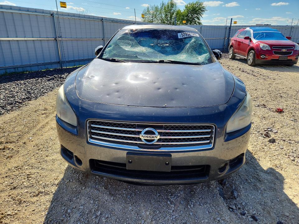 2009 Nissan Maxima მანქანა იყიდება აუქციონზე, vin: 1N4AA51E69C819556, აუქციონის ნომერი: 52952126