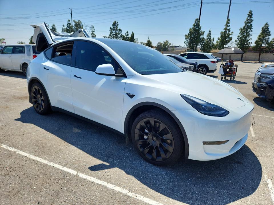 Aukcja sprzedaży 2024 Tesla Model Y, vin: 7SAYGDED2RF190869, numer aukcji: 53067986
