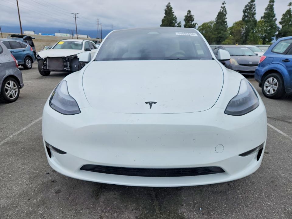 Продаж на аукціоні авто 2024 Tesla Model Y, vin: 7SAYGDEE6RF089603, номер лоту: 54885096