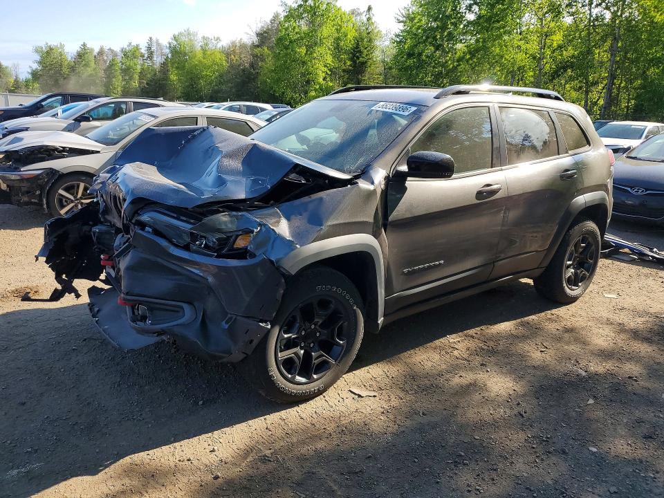 Auction sale of the 2022 Jeep Cherokee, vin: 1C4PJMBX7ND521455, lot number: 55239896