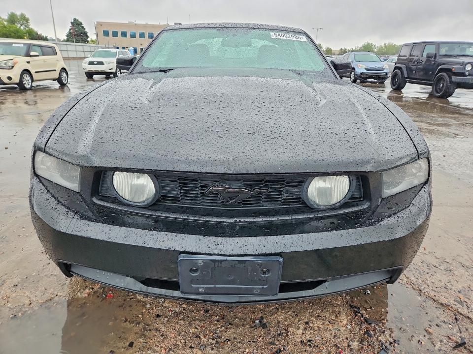 Продажа на аукционе авто 2010 Ford Mustang, vin: 1ZVBP8CH9A5114973, номер лота: 54002686