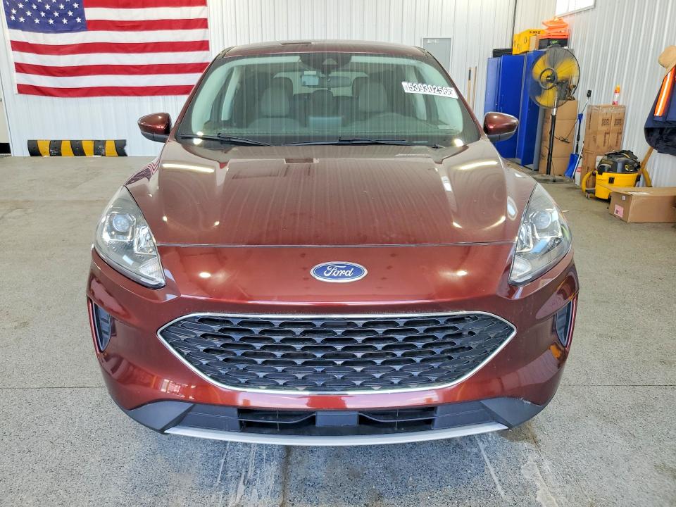 Продаж на аукціоні авто 2021 Ford Escape, vin: 1FMCU0G61MUA67650, номер лоту: 53930256