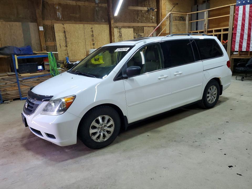 Продаж на аукціоні авто 2009 Honda Odyssey, vin: 5FNRL38679B002335, номер лоту: 52585316