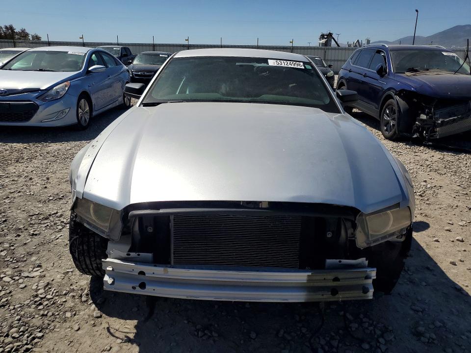 Продажа на аукционе авто 2014 Ford Mustang, vin: 1ZVBP8AM2E5239707, номер лота: 53124996