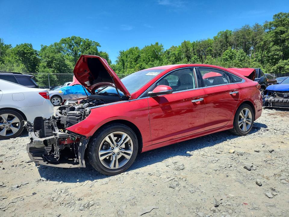Продажа на аукционе авто 2019 Hyundai Sonata, vin: 5NPE34AF1KH750147, номер лота: 55448136