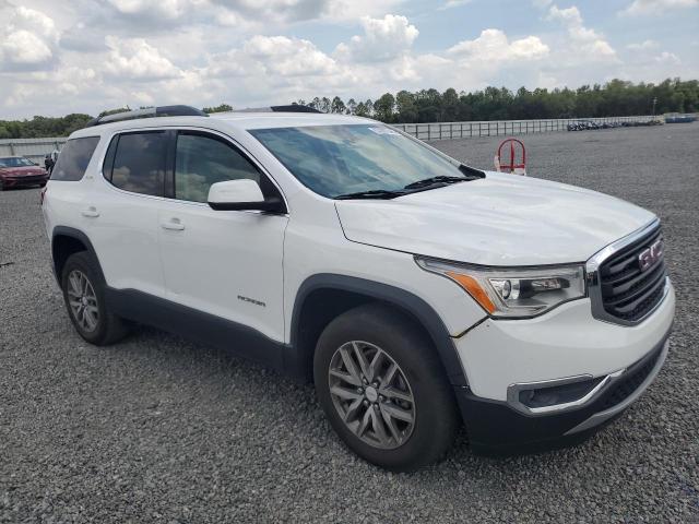 53087046 :رقم المزاد ، 1GKKNLLA5HZ218219 vin ، 2017 Gmc Acadia مزاد بيع