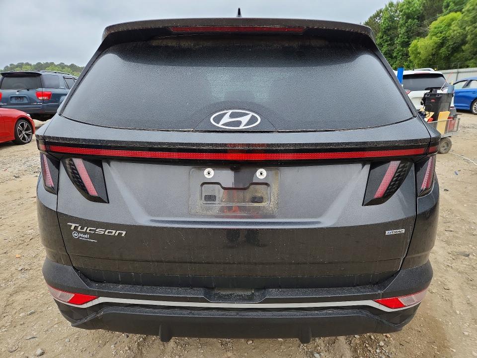 54255986 :رقم المزاد ، 5NMJBCAEXPH260328 vin ، 2023 Hyundai Tucson مزاد بيع