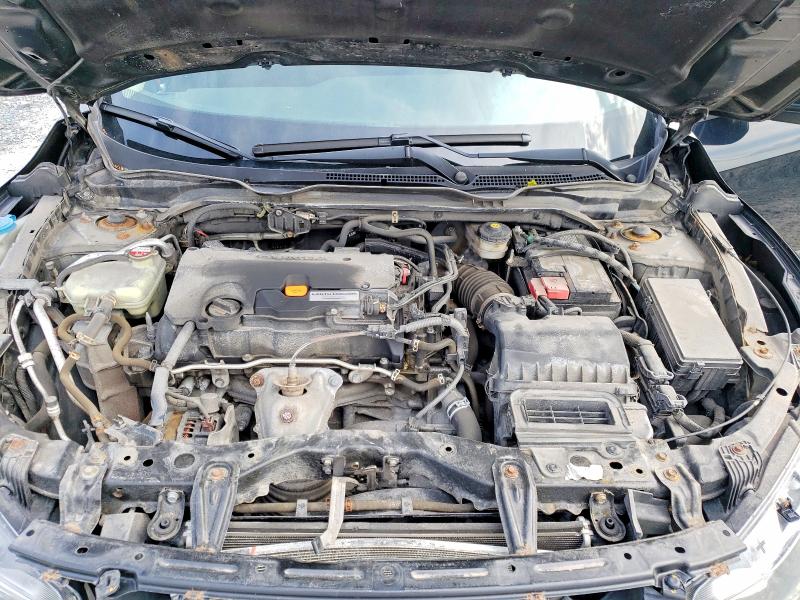 53946356 :رقم المزاد ، 2HGFC2F50HH002033 vin ، 2017 Honda Civic مزاد بيع