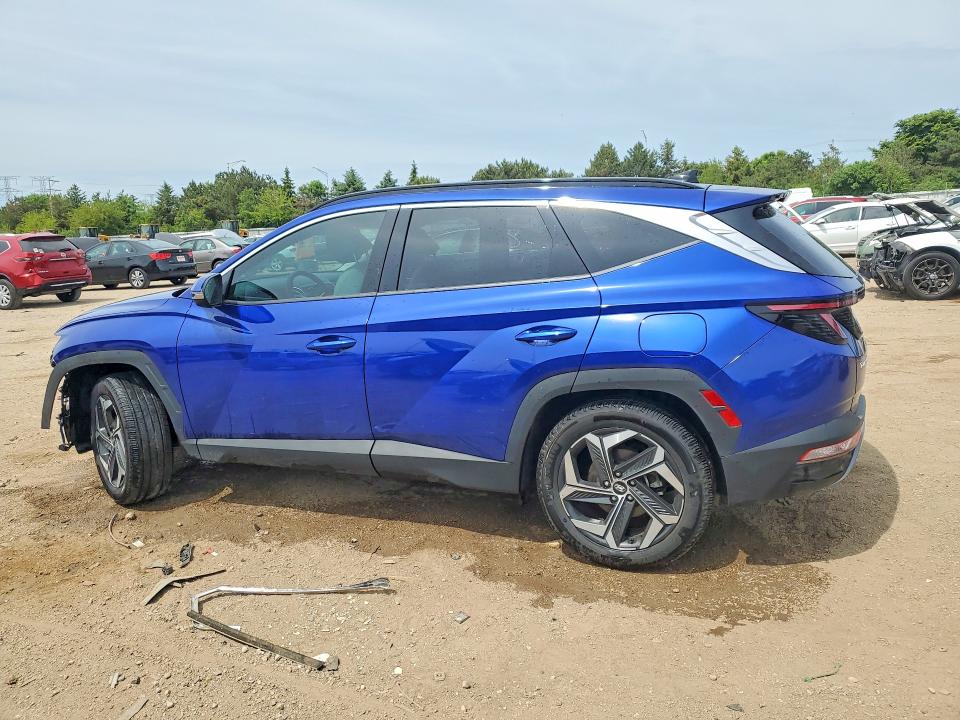 Продажа на аукционе авто 2023 Hyundai Tucson, vin: 5NMJECAE5PH291901, номер лота: 54801636
