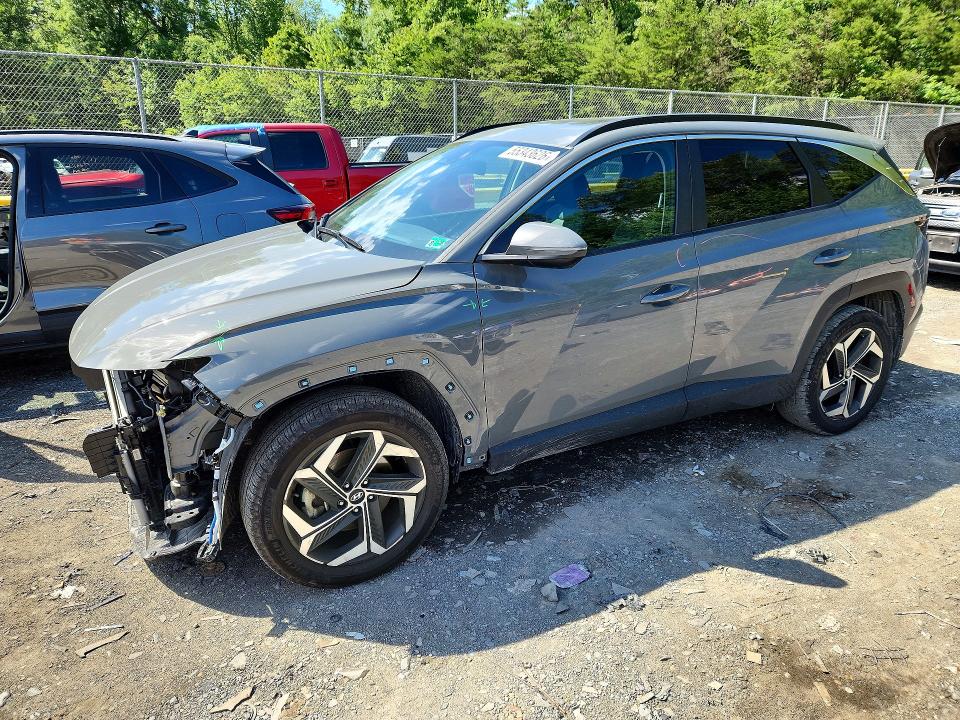 Продажа на аукционе авто 2024 Hyundai Tucson, vin: 5NMJFCDEXRH309224, номер лота: 55343626