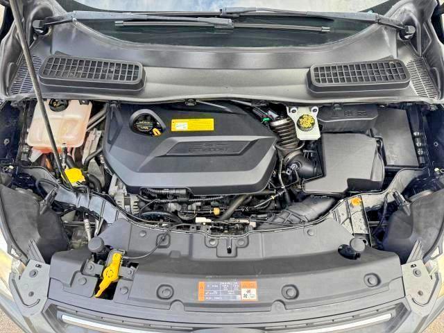 2016 Ford Escape მანქანა იყიდება აუქციონზე, vin: 1FMCU0GX4GUC35892, აუქციონის ნომერი: 55032546