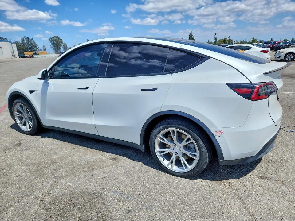 2021 Tesla Model Y მანქანა იყიდება აუქციონზე, vin: 5YJYGDEE7MF194334, აუქციონის ნომერი: 55174896