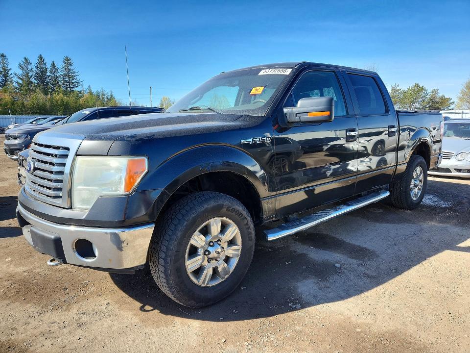 Продаж на аукціоні авто 2010 Ford F150, vin: 1FTEW1E87AFC31792, номер лоту: 53192656