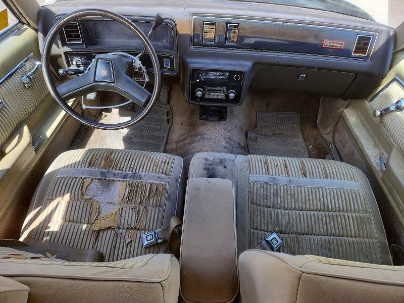 Продаж на аукціоні авто 1981 Chevrolet Malibu, vin: 2G1AW69J5B1437073, номер лоту: 55044156
