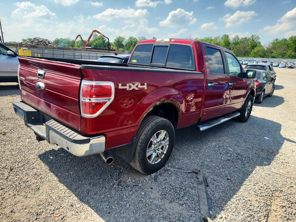 53834296 :رقم المزاد ، 1FTFW1ET2DFD39332 vin ، 2013 Ford F150 مزاد بيع